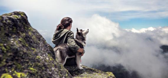 Animali domestici Dolomiti